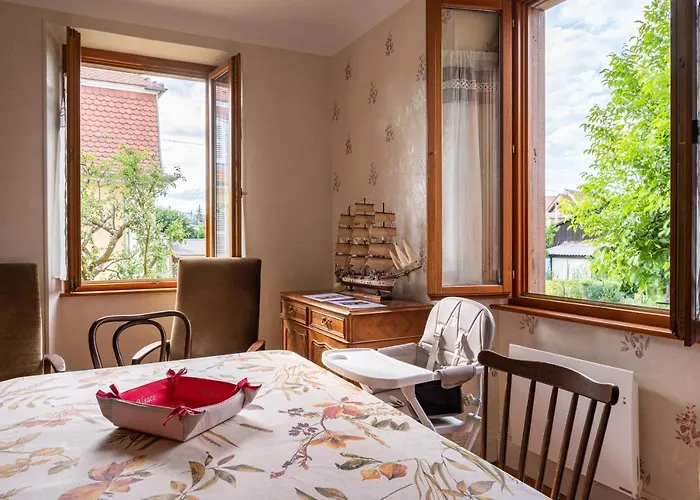 La Maison De De Et Son Jardin Nyaraló Colmar